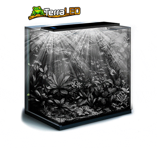 TerraLED — 10 ans d'expertise en éclairage LED pour terrarium et plantes