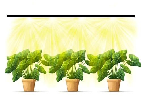 Plantes vertes d'intérieur sous éclairage TM PRO TerraLED