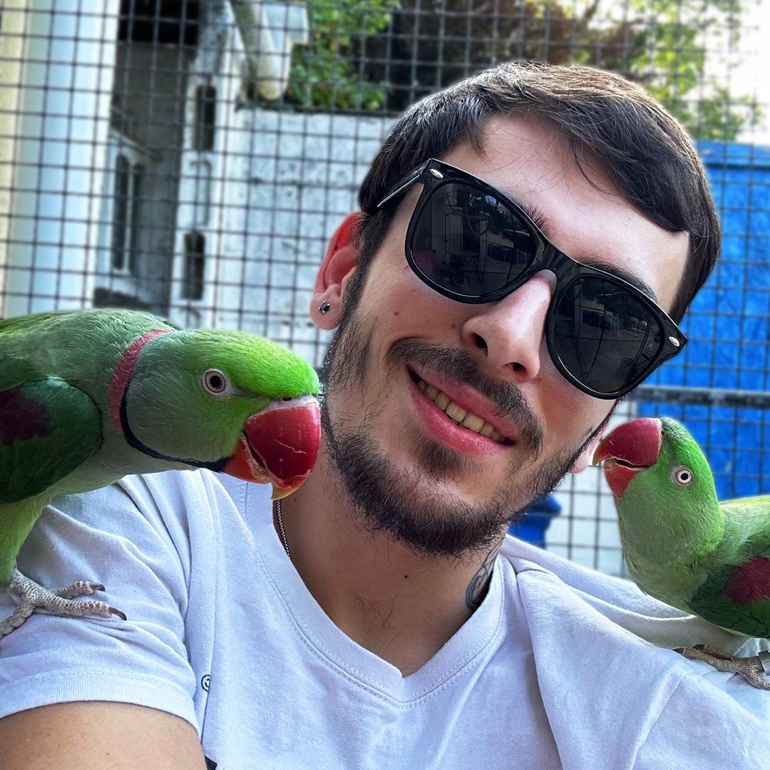 Le Zoo d'Hugo — Terrariums et plantes